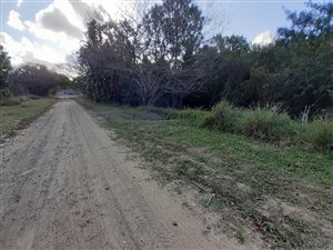3178 m² Land available in Palm Beach