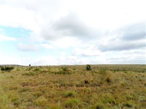 21 ha Farm in Bronkhorstspruit