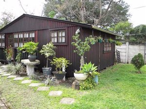 1 Bed Apartment in Scottsville
