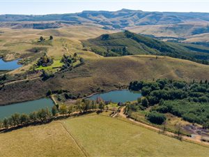 56.3 ha Farm in Howick