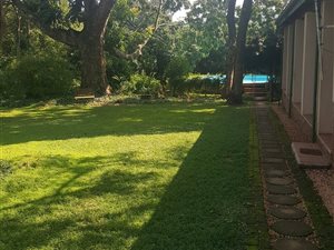 26 ha Farm in Tzaneen