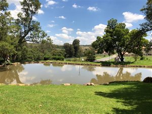 1117 m² Land available in Muldersdrift