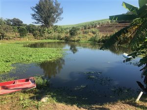 8.3 ha Farm in Shakas Rock