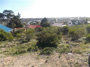 1156 m² Land available in Dana Bay