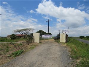 161874 ha Land available in Stanger