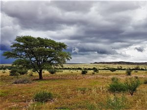 3939 ha Farm in Upington