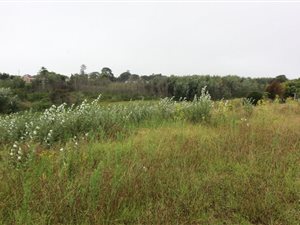 4935 m² Land available in Pacaltsdorp