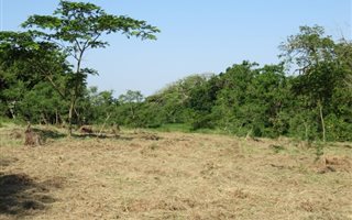 1501 m² Land available in Mtunzini