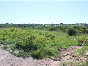 2000 m² Land available in Grahamstown