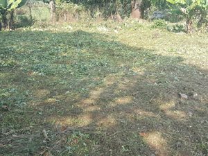 1536 m² Land available in Eshowe