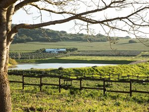 5 ha Farm in Paarl
