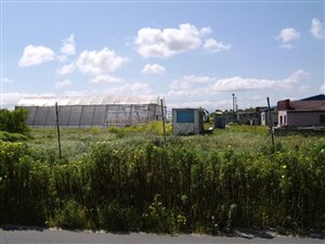4.2 ha Land available in Schaap Kraal