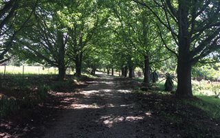 11.5 ha Farm in Merrivale
