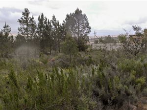 545 m² Land available in Caledon