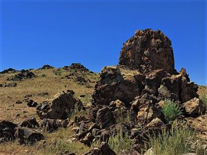 6937 ha Farm in Upington