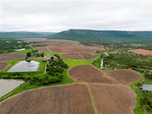 Farm in Dundee