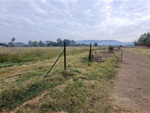 4.3 ha Farm in Pretoria Central