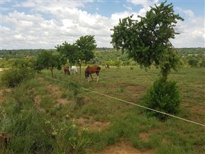 4 ha Land available in Farmall