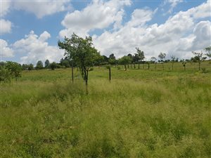 4 ha Land available in Farmall