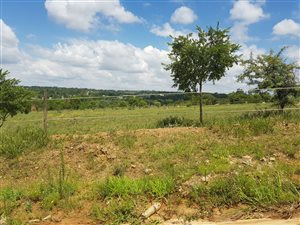 4 ha Land available in Farmall