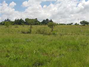 4 ha Land available in Farmall