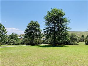 1600 m² Land available in Nottingham Road