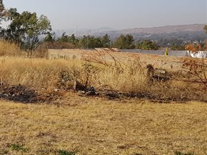 1600 m² Land available in Lady Selborne