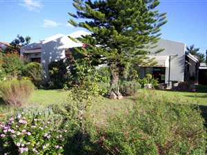 3 Bed House in Heidelberg