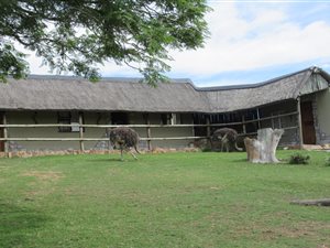 407 ha Farm in Grahamstown