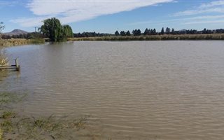 1050 ha Farm in Tweespruit