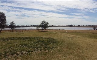 1050 ha Farm in Tweespruit