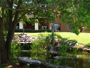2 ha Farm in Tzaneen