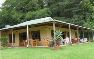 29 ha Farm in Currys Post