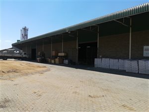 2000 m² Commercial space in Zinniaville