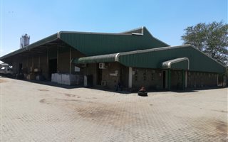 2000 m² Commercial space in Zinniaville