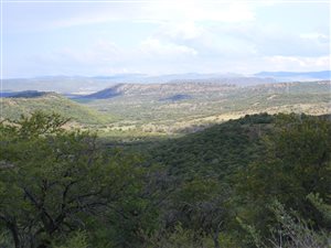 2000 ha Farm in Estcourt