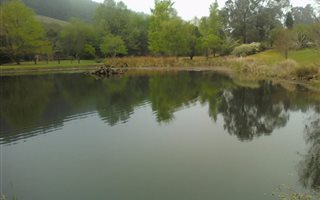 22 ha Farm in Dargle