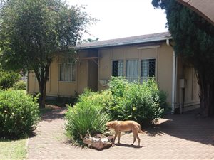 3 Bed House in Leeuhof