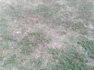 378 m² Land available in Khayelitsha