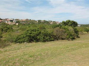 1037 m² Land available in Forest Downs