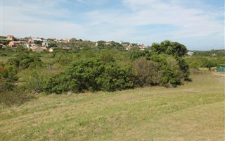 1037 m² Land available in Forest Downs