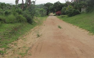 3730 m² Land available in Palm Beach