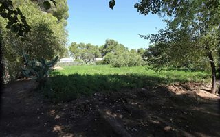 1269 m² Land available in Loxton