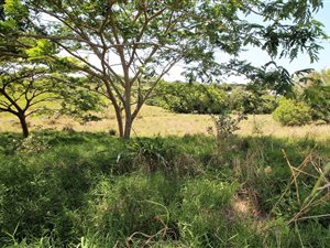 1340 m² Land available in Simbithi Estate