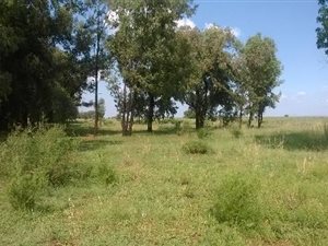 8.6 ha Land available in Carletonville