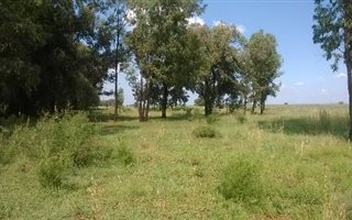 8.6 ha Land available in Carletonville