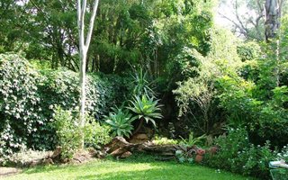 3 Bedroom House in Vaalwater