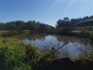 236 ha Farm in Ventersdorp