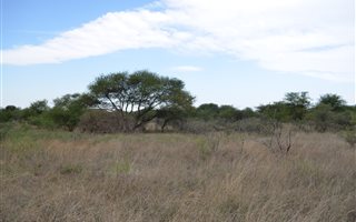 1421 ha Farm in Roedtan