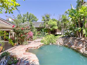4 Bed House in Monte Sereno